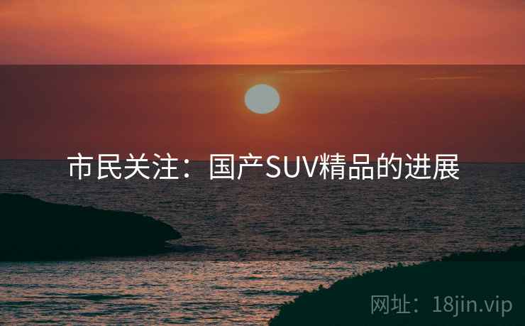 市民关注：国产SUV精品的进展