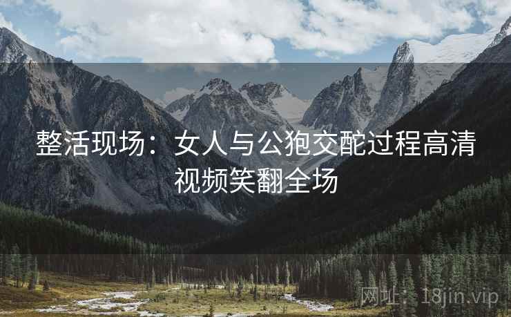 整活现场：女人与公狍交酡过程高清视频笑翻全场