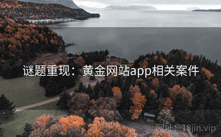 谜题重现：黄金网站app相关案件